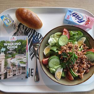 Lunch (inside Savanna Aviary restaurant)