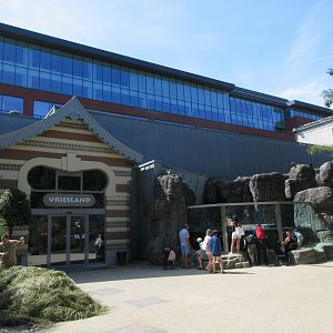 Freeze Land (penguin complex)