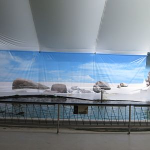 California Sea Lion Exhibit (50% of pool is shown)