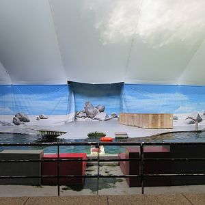 California Sea Lion Exhibit (50% of pool is shown)