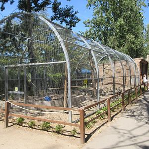 Rhesus Macaque Exhibit