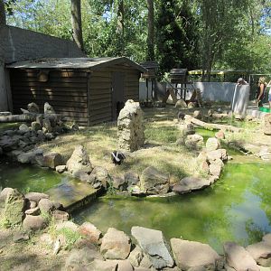 Raccoon/Striped Skunk Exhibit