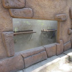 Rhesus Macaque Indoor Exhibit (rather bleak!)