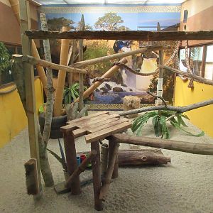 Genet Exhibit