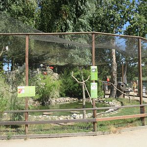 Waterfowl Aviary