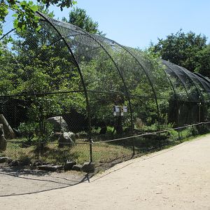 Southern Ground Hornbill/Pied Crow Exhibit