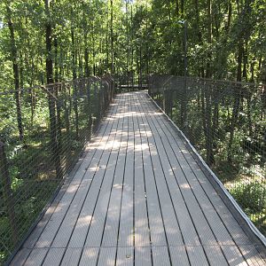 European Brown Bear Exhibit (seen via overhead boardwalk)