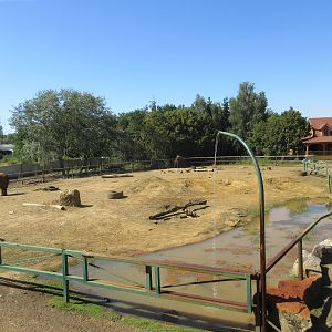 African Elephant Exhibit