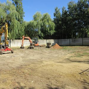 Future Tiger Exhibit