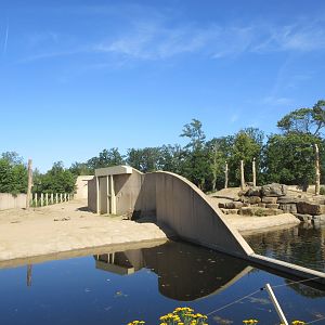 Asian Elephant Exhibits
