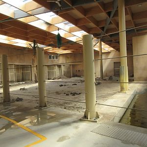 Asian Elephant Exhibit - Barn