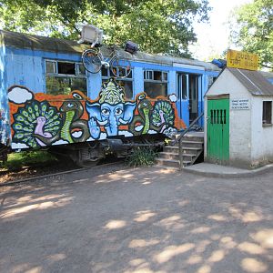 Asian Aviary (seen via train box car!)