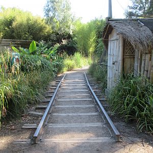 Visitor trail past Asian aviary