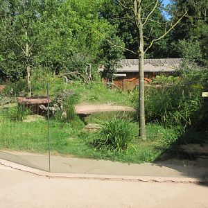 Tasmanian Devil Exhibit