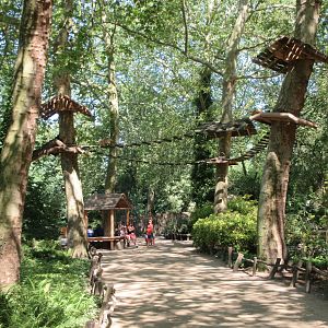 Coati Exhibit (fantastic idea!)