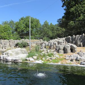 Humboldt Penguin Exhibit (brilliant, enormous aviary)