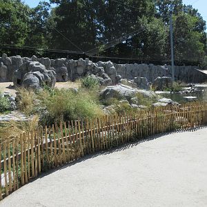 Humboldt Penguin Exhibit (brilliant, enormous aviary)