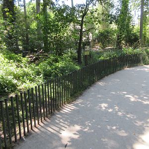 European Beaver Exhibit - reach over and touch a beaver!