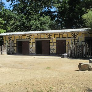 Ankole Cattle Barn