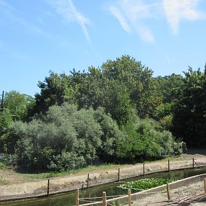 Expedition Bonobo (New in 2019)