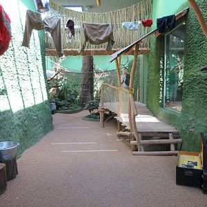 Expedition Bonobo (New in 2019)