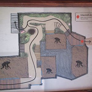 Expedition Bonobo (New in 2019)