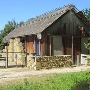 Kordofan Giraffe Barn