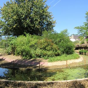 Expedition Bonobo (New in 2019)