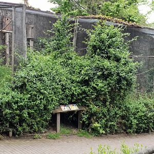 Macaw - Conure aviary