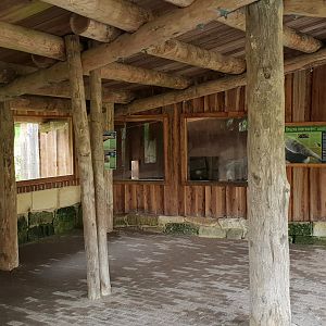 Indoor Giant anteater enclosure