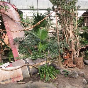 Tropical House - small crashed plane