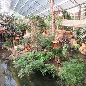 Tropical House - White-faced Saki Exhibit