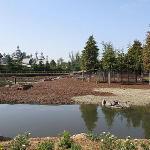 The Last Frontier - Moose/Wapiti Exhibit