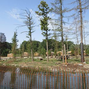 The Last Frontier - Eurasian Brown Bear/American Black Bear Exhibit