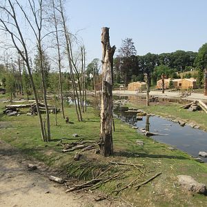 The Last Frontier - Eurasian Brown Bear/American Black Bear Exhibit