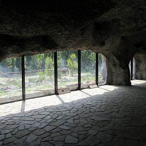 The Last Frontier - Eurasian Brown Bear/Wolf Exhibit