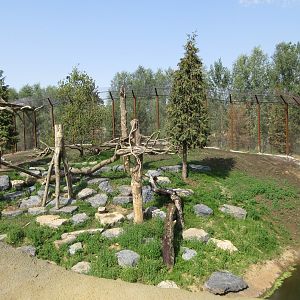 The Last Frontier - Puma Exhibit