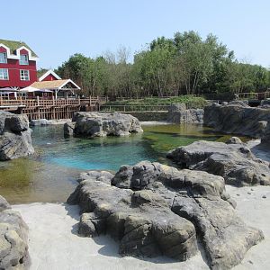 The Last Frontier - Steller's Sea Lion Exhibit