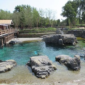 The Last Frontier - Steller's Sea Lion Exhibit