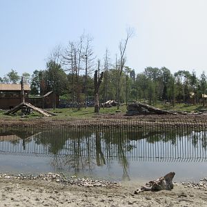 The Last Frontier - Eurasian Brown Bear/American Black Bear Exhibit