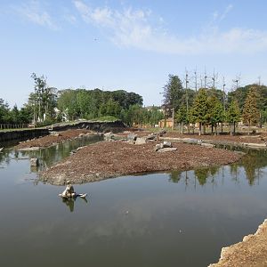 The Last Frontier - Moose/Wapiti Exhibit