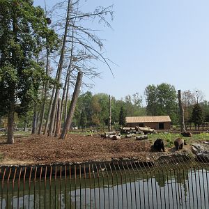 The Last Frontier - Eurasian Brown Bear/American Black Bear Exhibit