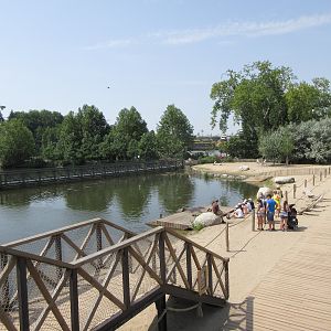 Harbour Seal/African Penguin Walk-through Exhibit