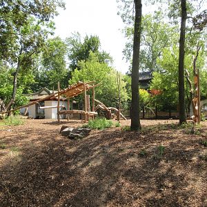 The Middle Kingdom - Asiatic Black Bear Exhibit