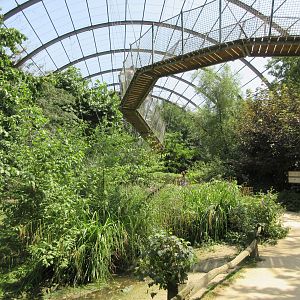 The Middle Kingdom - Walk-through Aviary