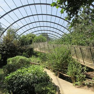 The Middle Kingdom - Walk-through Aviary