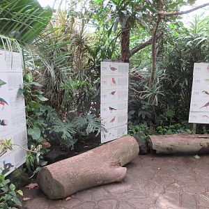 The Middle Kingdom Aviary (hand-drawn images on all signs)