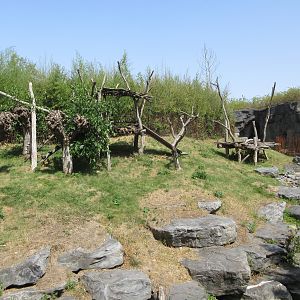 The Middle Kingdom - Giant Panda Exhibit