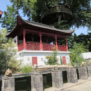 The Middle Kingdom - Giant Otter Exhibit