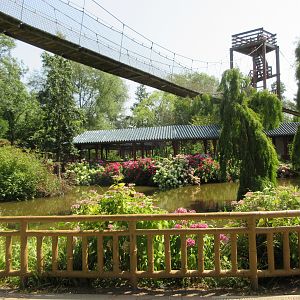 The Middle Kingdom (Asian Zone)